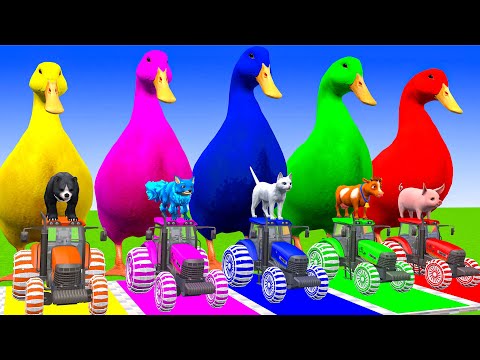 Long Slide Game With Cow Elephant Gorilla Hippopotamus Tiger - 3d Animal Game - Funny 3d Animals