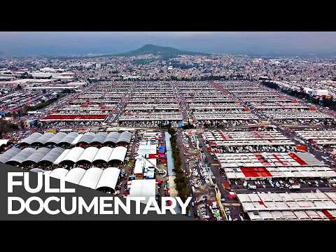 World's Biggest Market | Inside Central de Abasto: Cartel’s Playground? | Free Documentary