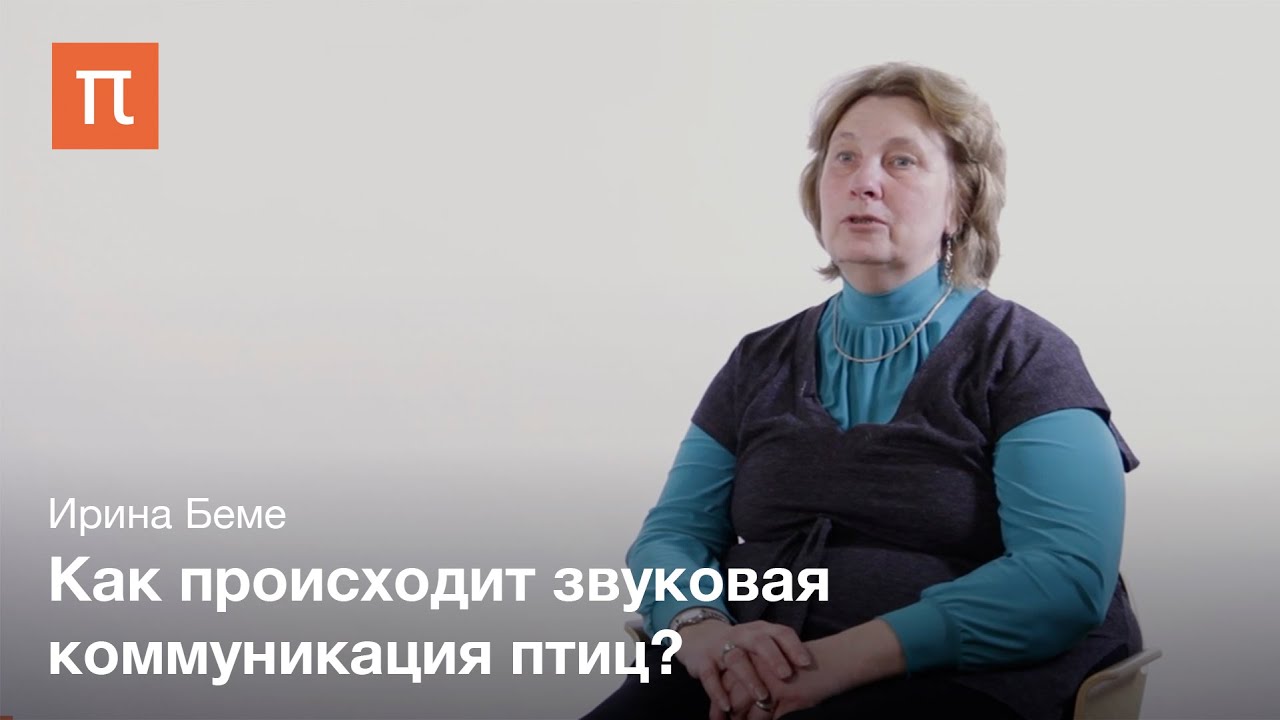 Биоакустика птиц - Ирина Беме