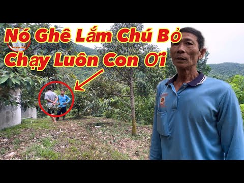 Kỳ lạ người đàn ông xây nhà trên núi cao gặp chuyện khủng khiếp phải bỏ chạy van xin nghe mà Ớn Óc