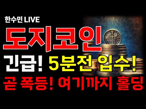 [도지코인 전망] 긴급! 5분전 입수소식! 조만간 폭등! 여기까지는 홀딩합시다