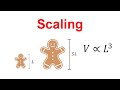 Volume and Surface Area Relationships