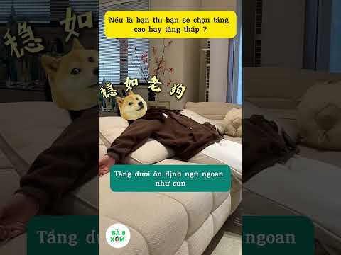 Theo bạn nên chọn ở tầng cao hay thấp ? #tips #shorts