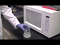 Agarose Gel Preparation and Safety