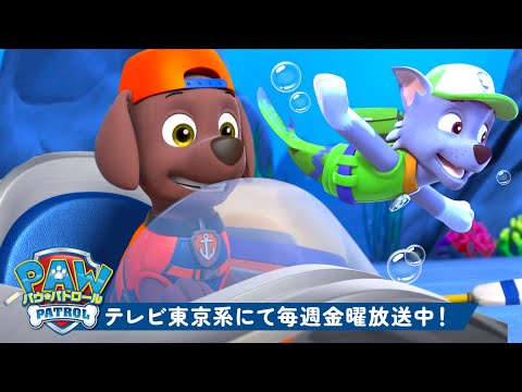 パウ・パトロール | パウ・パトロールの海のレスキューミッション名場面集！🌊チェイスとズーマも一緒｜30分 | テレビ東京系にて放送中