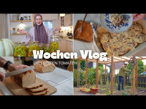 Unsere letzte Tomaten Ernte | Vollkorn Zimtschnecken, erster versuch | VLOG