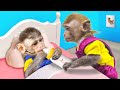 Video Section Content Analysis
