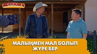 Балқия тіліңе ие бол! | КЕЛІНЖАН 6