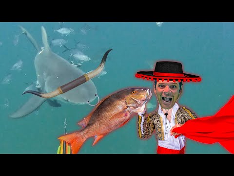 Fighting Bull Sharks for Dinner | Are delicious SNAPPER worth it?