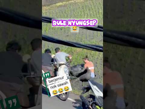 BULE #shortvideo #bule #sawah #ngakak #viral #fypシ