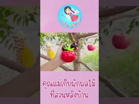 คณแม่เก็บผักผลไม้ จากต้นผลไม้รวมมิตร ที่สวนหลังบ้าน  | เล่นบทบาทสมมติ