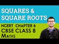 Exploring Squares and Square Roots in Class 8 Maths