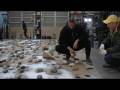 Exploring the Universe through Art and Gunpowder