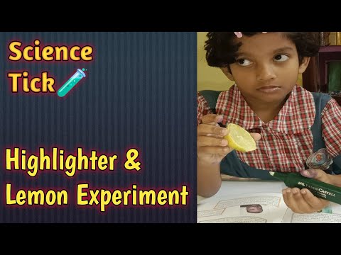 # Highlighter and Lemon Experiment For Kids