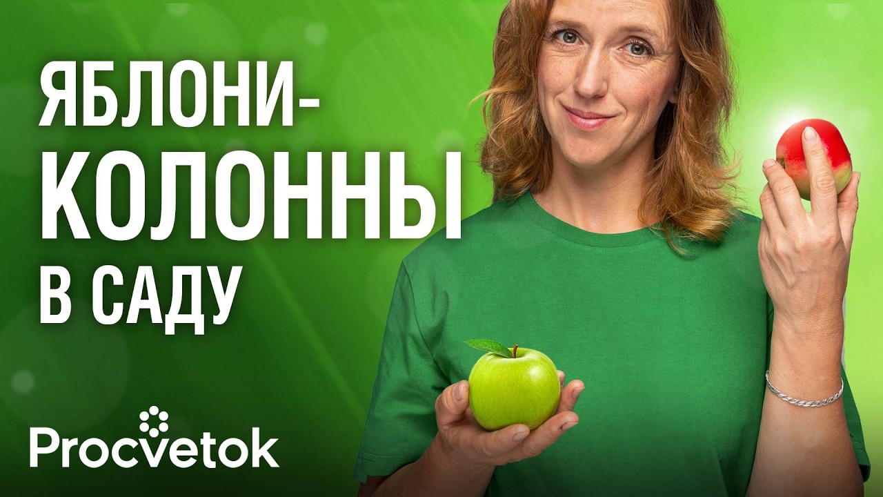 Всё, что вы хотели знать о колонновидных яблонях! Обзор сортов, особенности выращивания