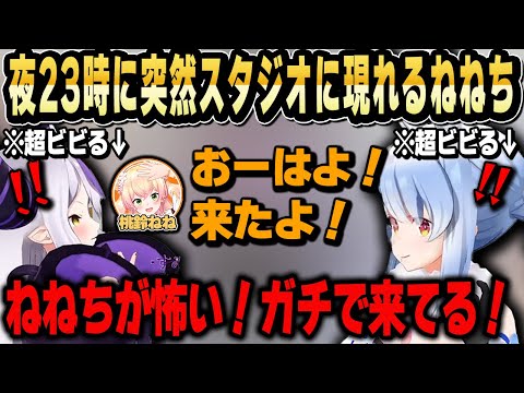 20人中ねねちだけガチでスタジオに来てそれにビビり散らかすぺこらとラプラス 人望力バトル面白シーンまとめ【ホロライブ 切り抜き/兎田ぺこら/ラプラス・ダークネス/桃鈴ねね】