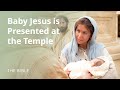 Understanding the Prophetic Message