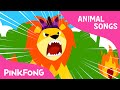 Lion Behavior and Dinosaur Anatomy