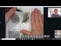 Fingerprint Loop Identification Techniques