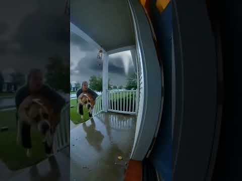 Tornado Takes the Dog… Then THIS Happens 😱🐶