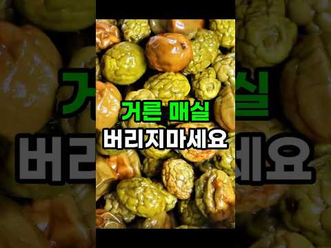 거른 매실 절대 버리지마세요!