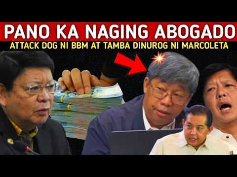 ATTACK DOG NI TAMBA LIZA AT BBM NA SI ENZO RECTO DINUROG NI CONG.MARCOLETA SA HEARING!