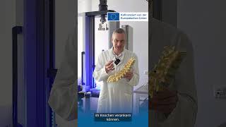 Biomechanisches Prüflabor