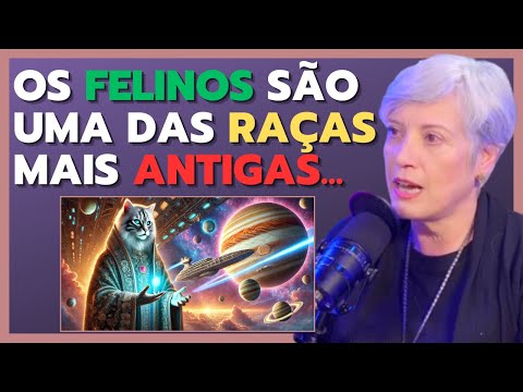 A TRANSIÇÃO PLANETÁRIA E O MISTÉRIO DO CONSELHEIRO FELINO - LOUISE CASTANHEDO E INAJAR KUROWSKI