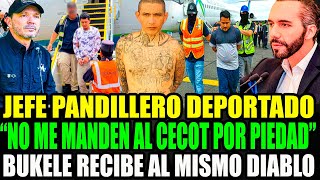 "NO ME MANDEN AL CECOT POR FAVOR"🚨 P4NDILLERO DEPORTADO SUPLICA PERDÓN. BUKELE LO MANDA A PRISIÓN😱
