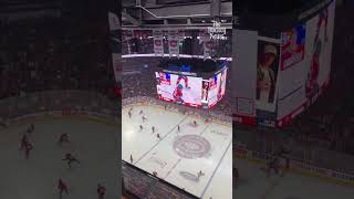 Caufield is shown on the jumbotron and the fans start cheering, they might be warming up too