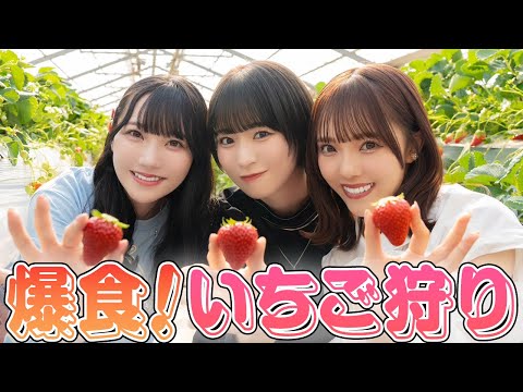 [Reward ♡] For strawberry picking in Chiba! Challenge to eat 100 pieces! ?