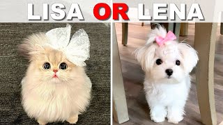 LISA OR LENA 🌹Choose your Dream House