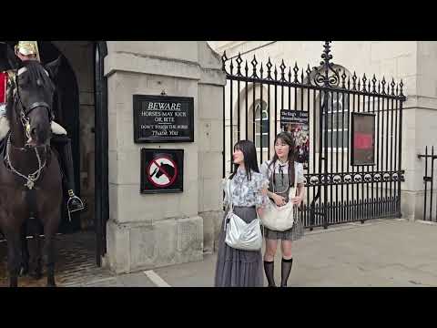 TWO JAPANESE GIRLS SHOW RESPECT AND THE HORSE BOWS BACK ❤️ #kingsguard