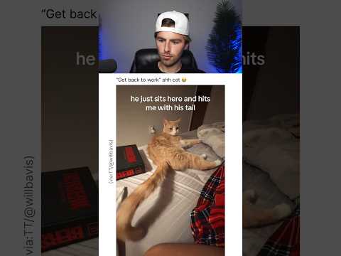THIS CAT IS AN ABUSER.. 😭