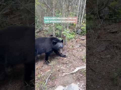 Omg scariest rollercoaster ride ever with black bears encounter