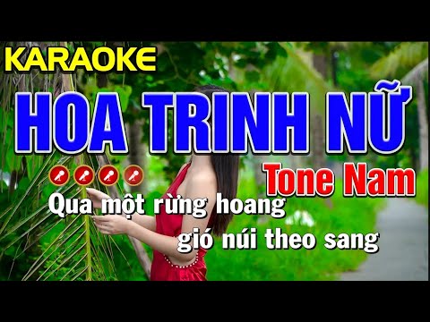 ✔ HOA TRINH NỮ Karaoke Tone Nam | Bến TìNàn