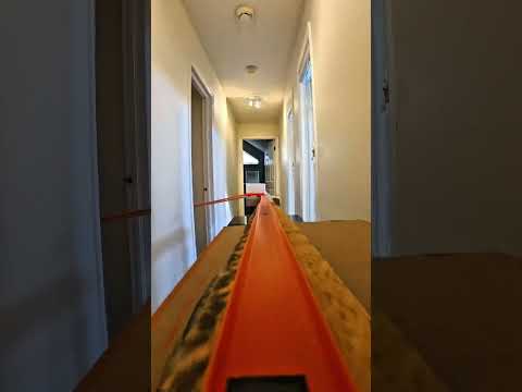 236 FOOT! Hot Wheels Track #hotwheelstrack #hotwheels