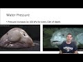 Aquatic Ecosystems and Environmental Factors