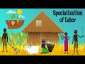 The Evolution of Agriculture and Its Impact