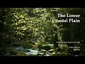 Lower Coastal Plain Geography and Ecology