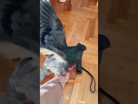 В конце вас ждет сюрприз!