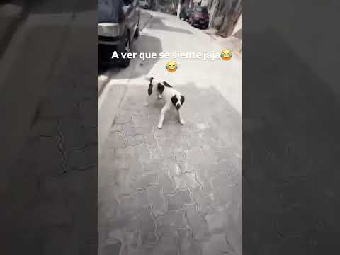 perdí toda la cordura que me quedaba