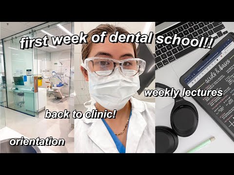 First Week of Dental School 🦷 Welcome to 3rd Year!