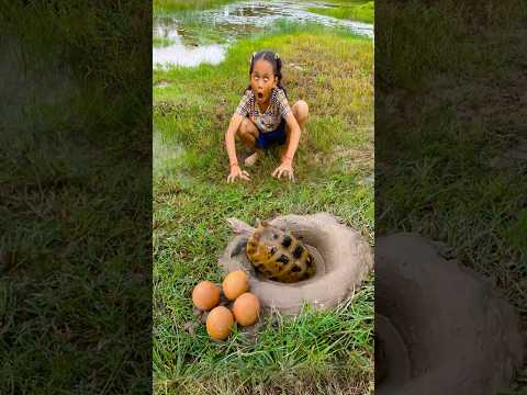 Survival Skills: SIMPLE and USEFUL with Turtle trapping tool #survival #bushcraft #camping #shorts