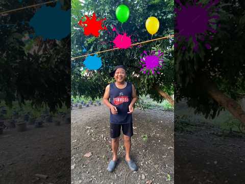 Tepuk tepuk 1 2 3 👏 🎊