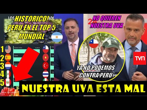 CHILE LE LLORA A EEUU POR COMPRARLE UVA A PERU TOP #1 TIERRA BENDITA- PRENSA ARGENTINA SORPRENDIDA