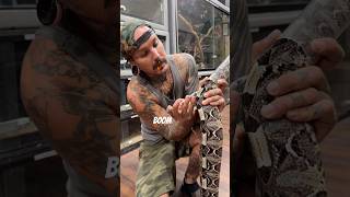 Medicating the DEADLIEST SNAKE ￼I have in my collection 😳A HYBRID GABOON VIPER