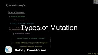 Types of Mutation
