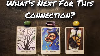 🌹💕 What Is Next For This Connection? Pick A Card Love Reading 