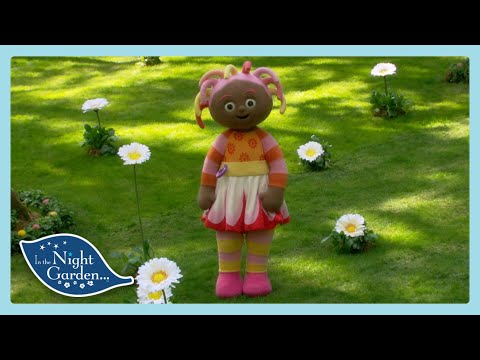 Dancing with the Daisies | In the Night Garden | Wildbrain Little Ones